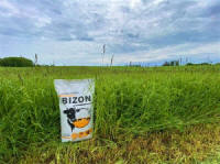 производитель семян смеси трав газонных кормовых Плевел 04