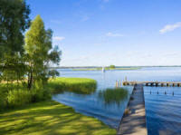 производитель семян смеси трав газонных кормовых Плевел 07